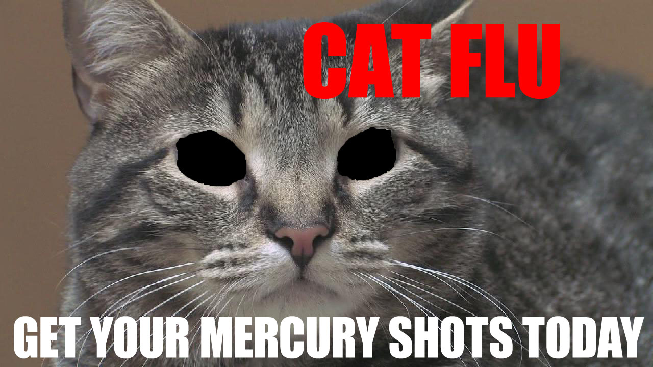 CAT FLU CAT FLU