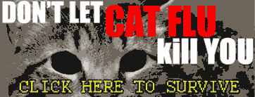 Cat flu