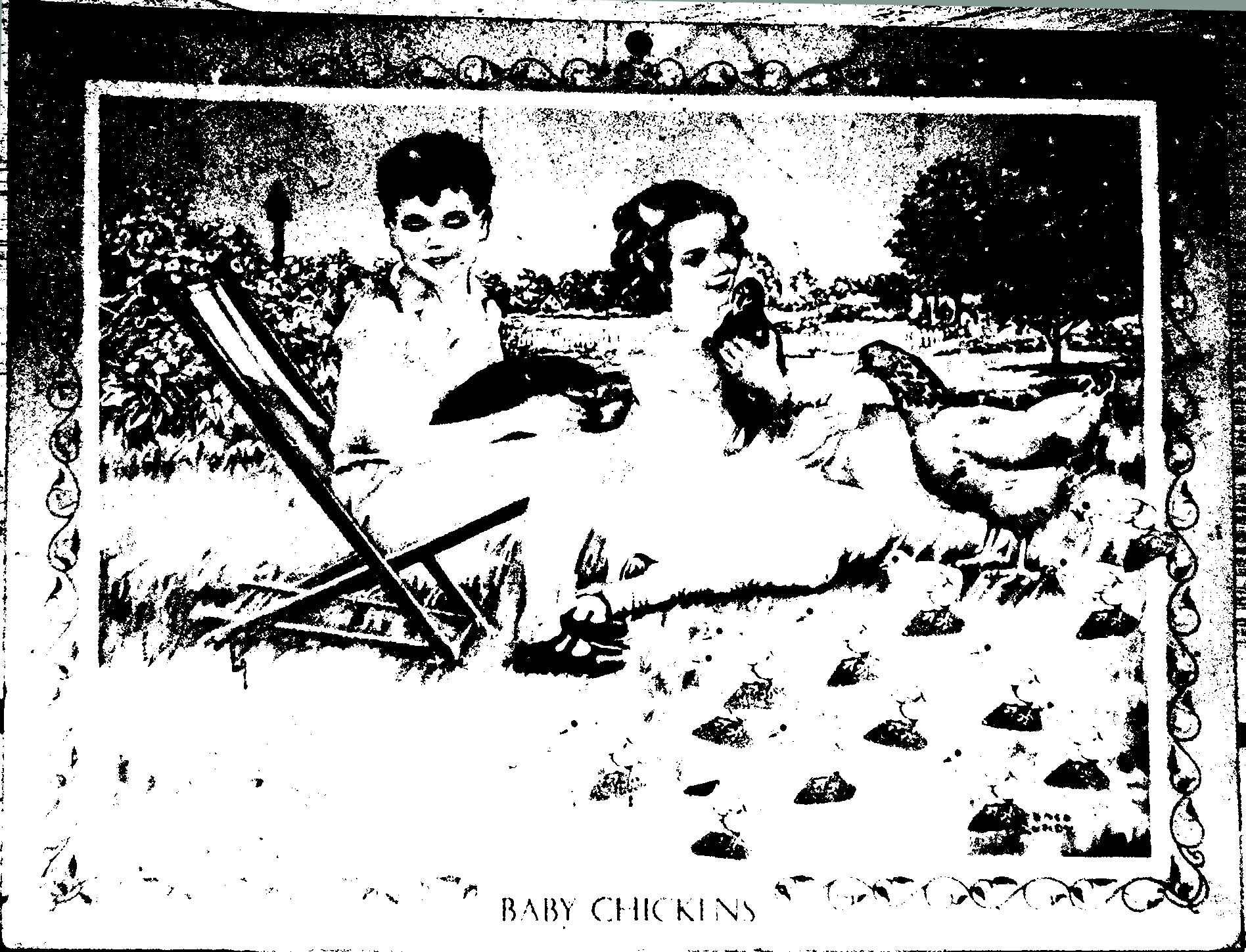 baby-chickens-threshold