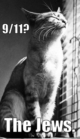 The cat pictured is exhibiting extra-binary political analysis.