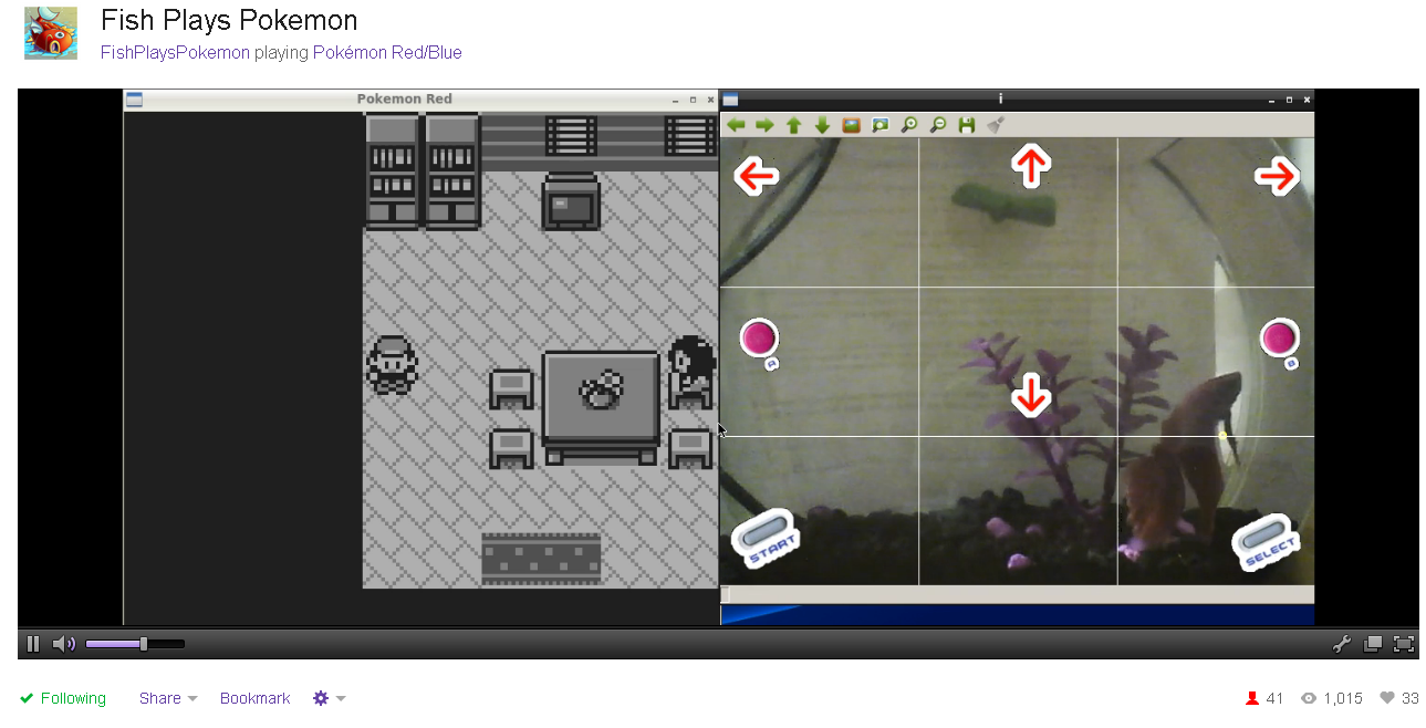 In an effort to catch them all, Grayson the betta male has logged 150 hours on Pokémon.