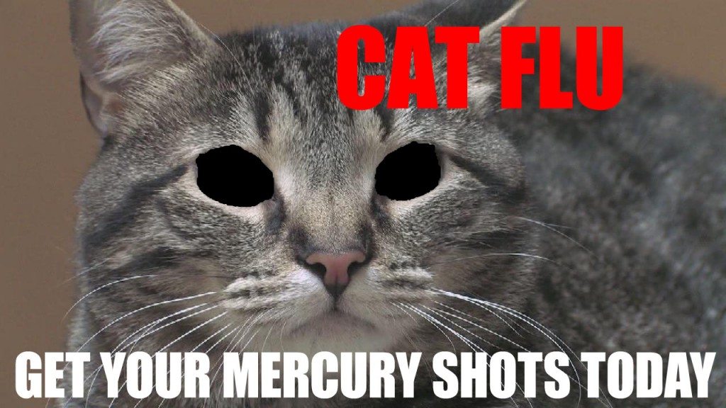 CAT FLU