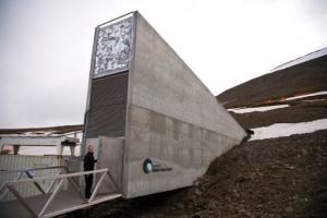 The Global Seed Vault, where the world's seed diversity is saved.